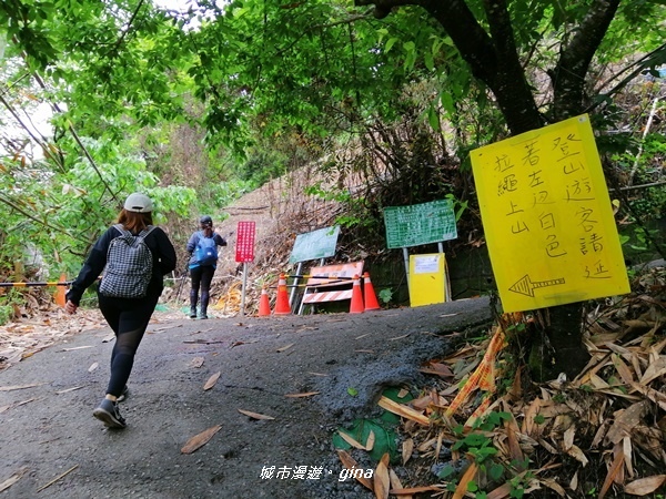 IMG_20200425_100406.jpg IMG_20200425_100406.jpg