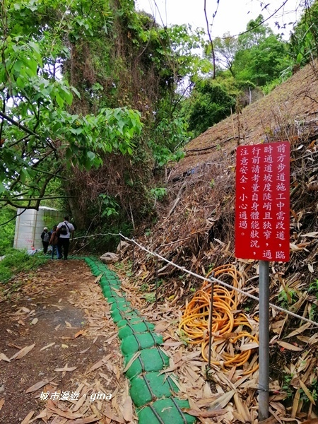 IMG_20200425_100429.jpg IMG_20200425_100429.jpg