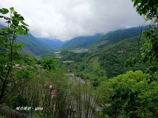 IMG_20200425_100838.jpg IMG_20200425_100838.jpg