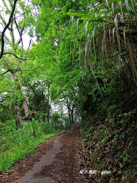 IMG_20200425_101055.jpg IMG_20200425_101055.jpg