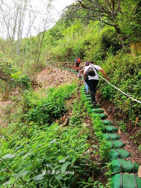 IMG_20200425_100540.jpg IMG_20200425_100540.jpg