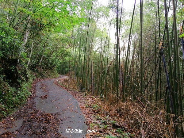 IMG_20200425_101942.jpg IMG_20200425_101942.jpg