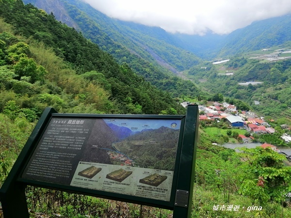 IMG_20200425_101524.jpg IMG_20200425_101524.jpg