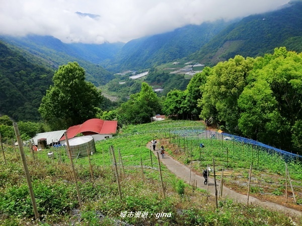 IMG_20200425_103137.jpg IMG_20200425_103137.jpg