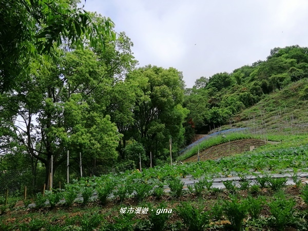 IMG_20200425_102634.jpg IMG_20200425_102634.jpg