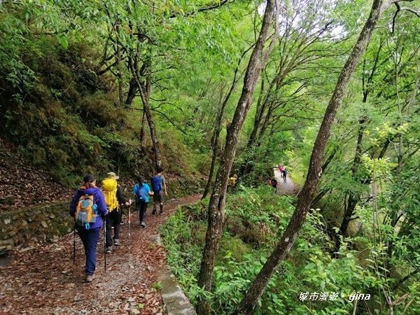 IMG_20200425_103606.jpg IMG_20200425_103606.jpg