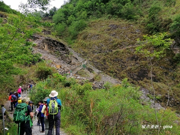 IMG_20200425_103711.jpg IMG_20200425_103711.jpg