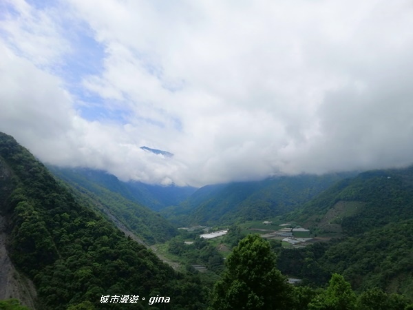 IMG_20200425_103235.jpg IMG_20200425_103235.jpg