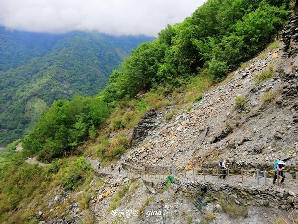 IMG_20200425_104222.jpg IMG_20200425_104222.jpg