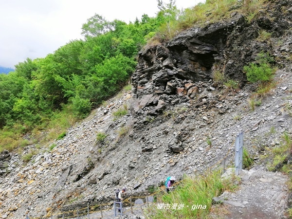 IMG_20200425_104228.jpg IMG_20200425_104228.jpg