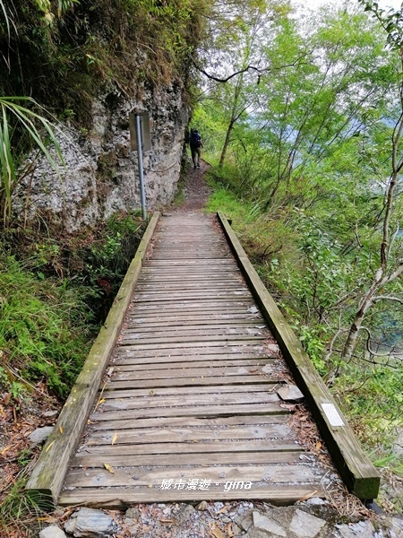 IMG_20200425_104304.jpg IMG_20200425_104304.jpg