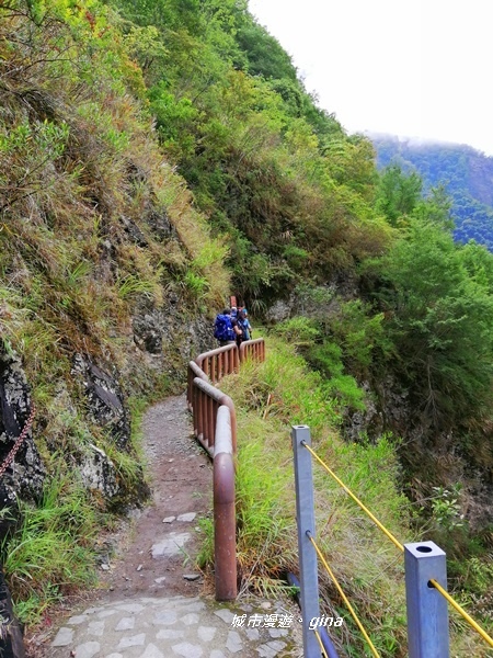 IMG_20200425_104232.jpg IMG_20200425_104232.jpg