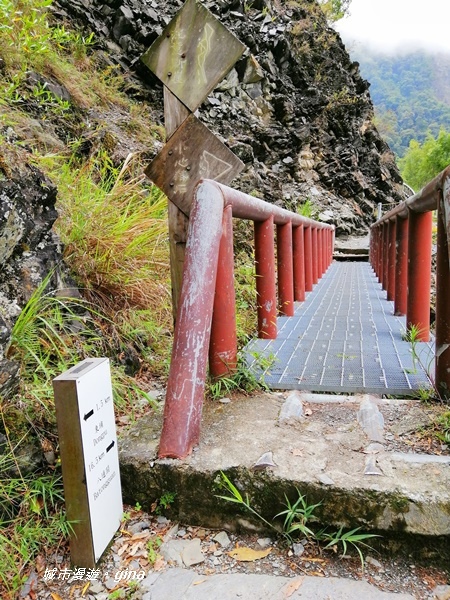 IMG_20200425_105005.jpg IMG_20200425_105005.jpg