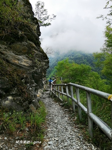 IMG_20200425_105117.jpg IMG_20200425_105117.jpg