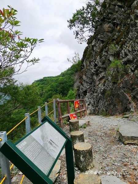 IMG_20200425_105227.jpg IMG_20200425_105227.jpg