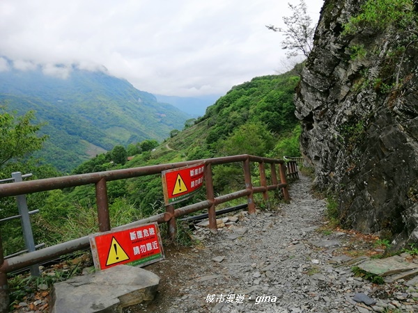 IMG_20200425_105228.jpg IMG_20200425_105228.jpg