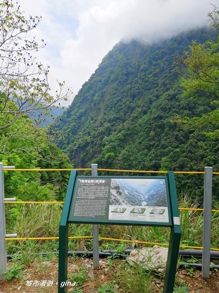 IMG_20200425_105307.jpg IMG_20200425_105307.jpg