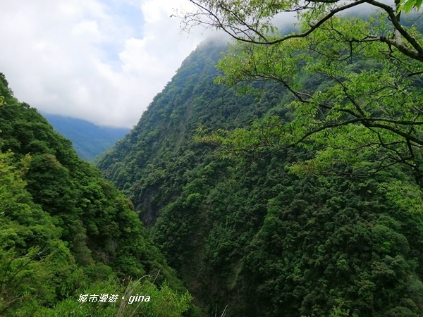 IMG_20200425_105319.jpg IMG_20200425_105319.jpg