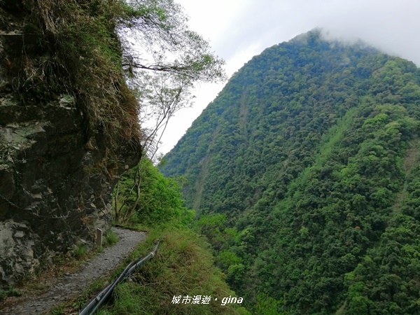 IMG_20200425_110530.jpg IMG_20200425_110530.jpg