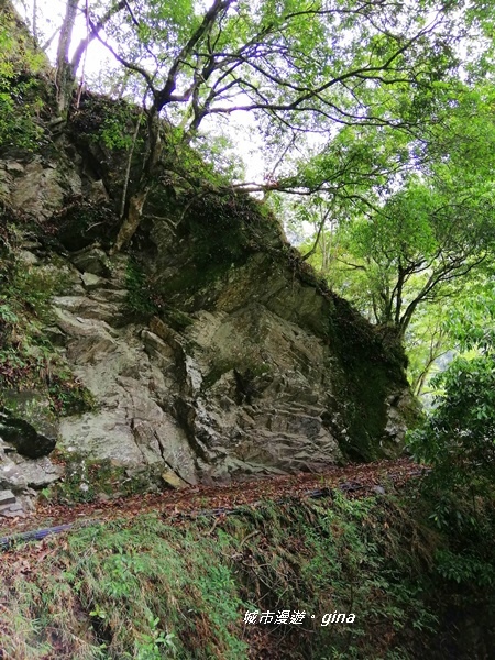 IMG_20200425_110226.jpg IMG_20200425_110226.jpg