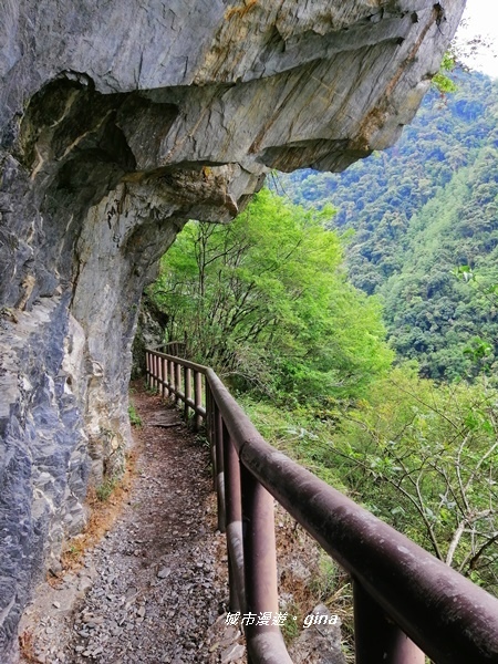 IMG_20200425_111000.jpg IMG_20200425_111000.jpg