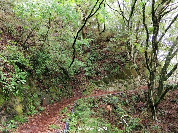 IMG_20200425_111129.jpg IMG_20200425_111129.jpg