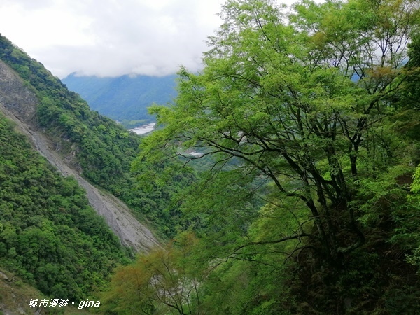 IMG_20200425_110708.jpg IMG_20200425_110708.jpg