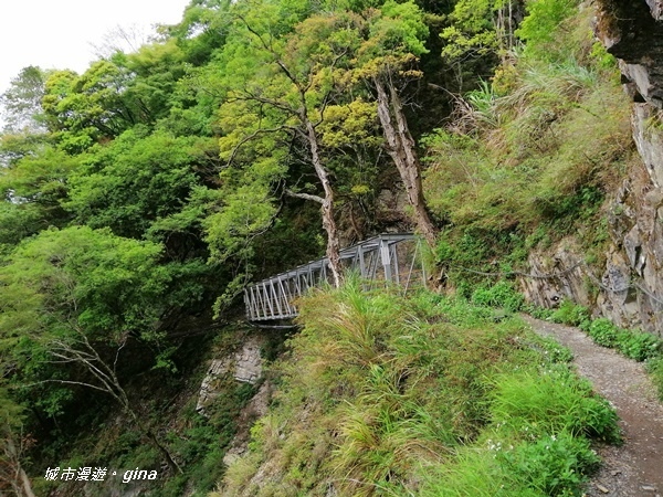 IMG_20200425_112010.jpg IMG_20200425_112010.jpg