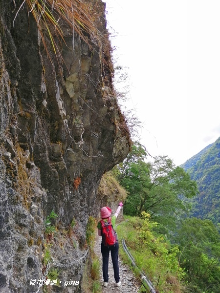 IMG_20200425_112217.jpg IMG_20200425_112217.jpg