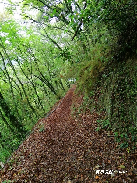 IMG_20200425_113738.jpg IMG_20200425_113738.jpg