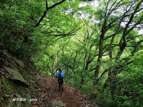 IMG_20200425_112852.jpg IMG_20200425_112852.jpg