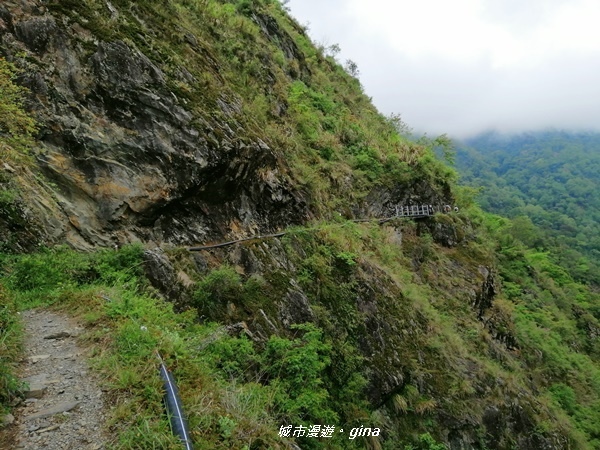 IMG_20200425_114606.jpg IMG_20200425_114606.jpg