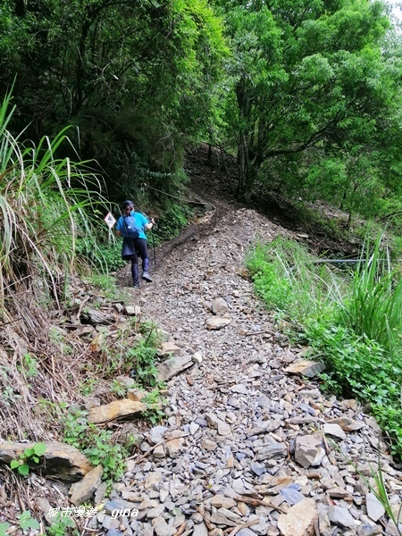 IMG_20200425_114142.jpg IMG_20200425_114142.jpg