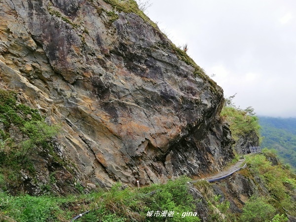 IMG_20200425_114757.jpg IMG_20200425_114757.jpg