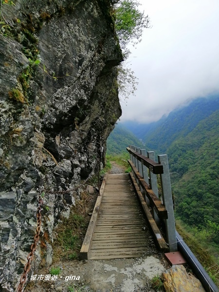 IMG_20200425_115034.jpg IMG_20200425_115034.jpg