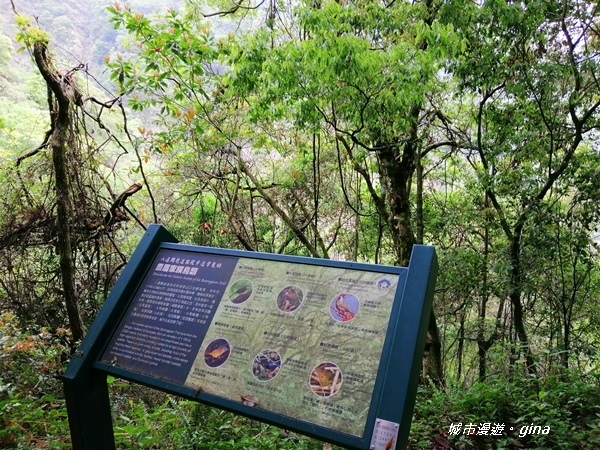 IMG_20200425_120334.jpg IMG_20200425_120334.jpg