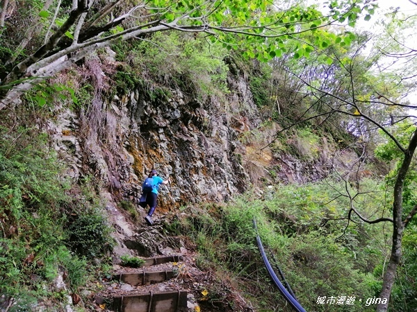 IMG_20200425_120520.jpg IMG_20200425_120520.jpg