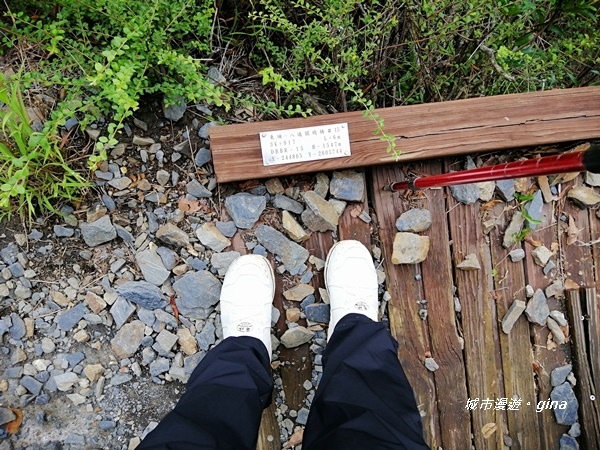 IMG_20200425_120803.jpg IMG_20200425_120803.jpg