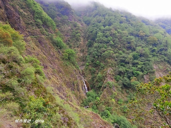 IMG_20200425_120656.jpg IMG_20200425_120656.jpg