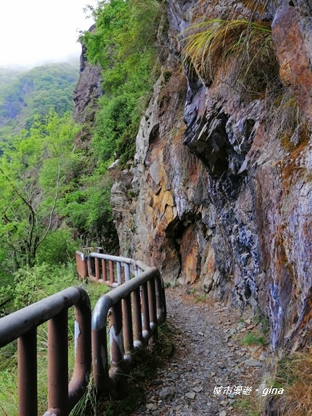 IMG_20200425_121619.jpg IMG_20200425_121619.jpg