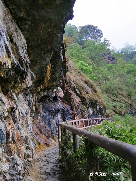 IMG_20200425_121911.jpg IMG_20200425_121911.jpg