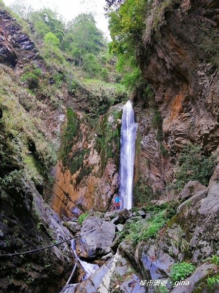 IMG_20200425_131108.jpg IMG_20200425_131108.jpg