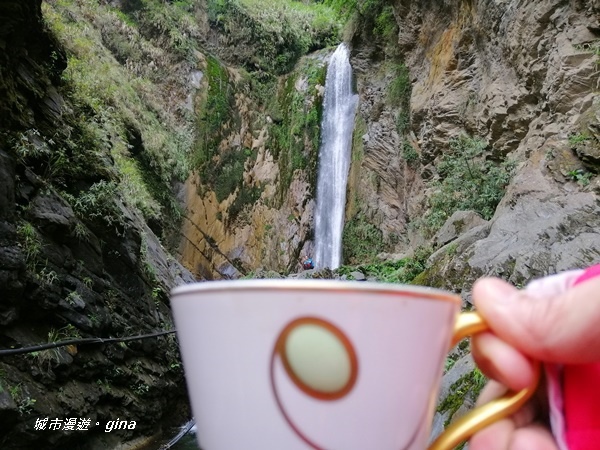 IMG_20200425_131209.jpg IMG_20200425_131209.jpg