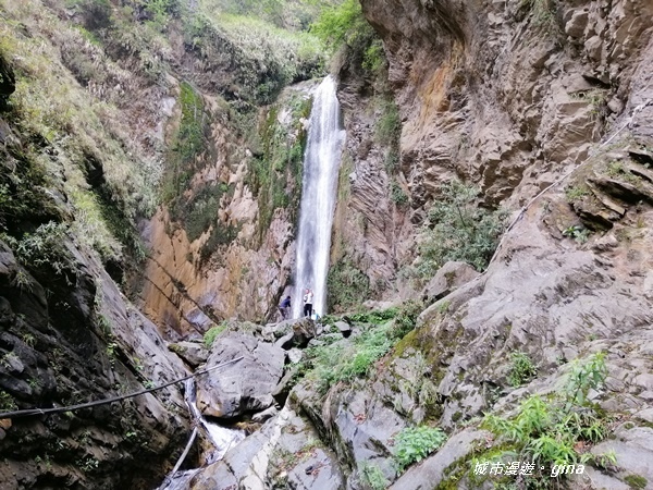 IMG_20200425_131718.jpg IMG_20200425_131718.jpg