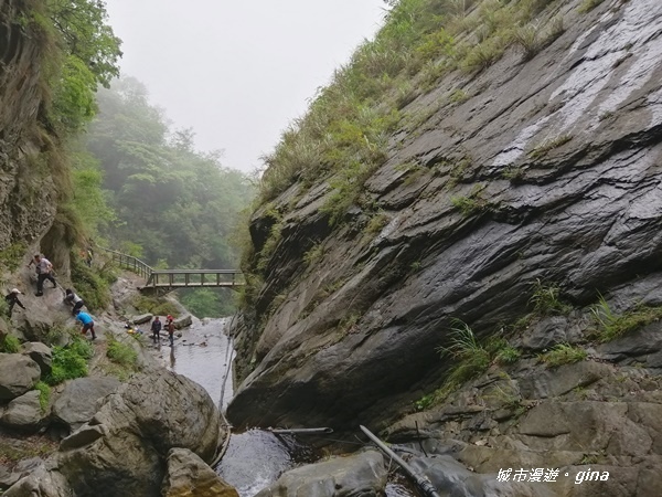 IMG_20200425_132447.jpg IMG_20200425_132447.jpg