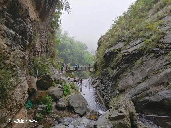 IMG_20200425_133040.jpg IMG_20200425_133040.jpg