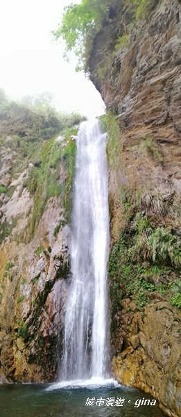 IMG_20200425_132727.jpg IMG_20200425_132727.jpg