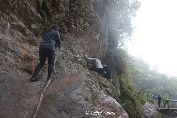 IMG_20200425_134602.jpg IMG_20200425_134602.jpg