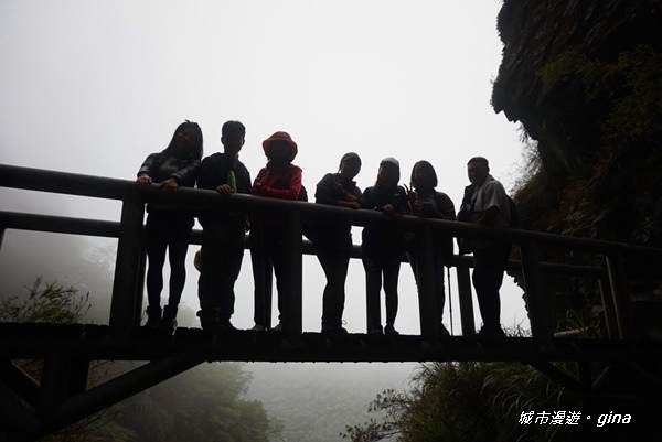 IMG_20200425_134604.jpg IMG_20200425_134604.jpg