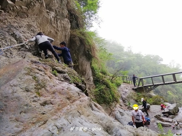 IMG_20200425_134603.jpg IMG_20200425_134603.jpg